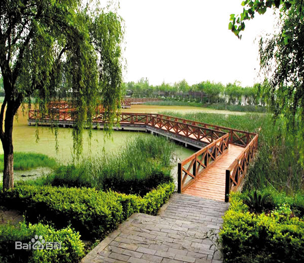 ??????? ?? ?????: ?????? ?? ????? ????? 