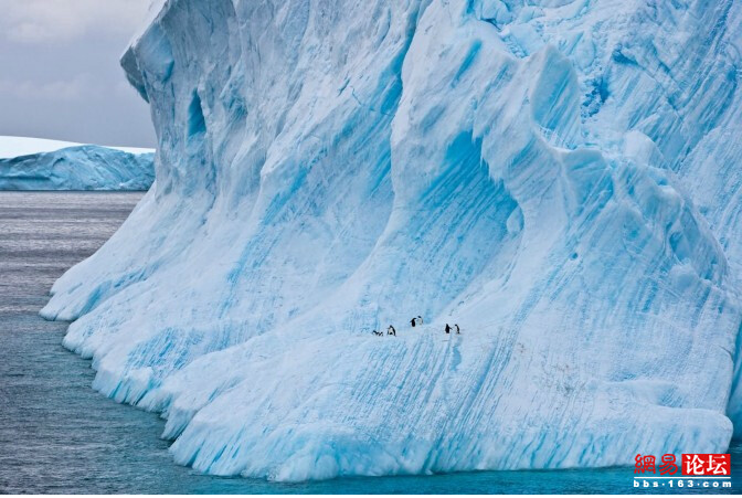 ??? ????? ????? ???????: ???? ??????