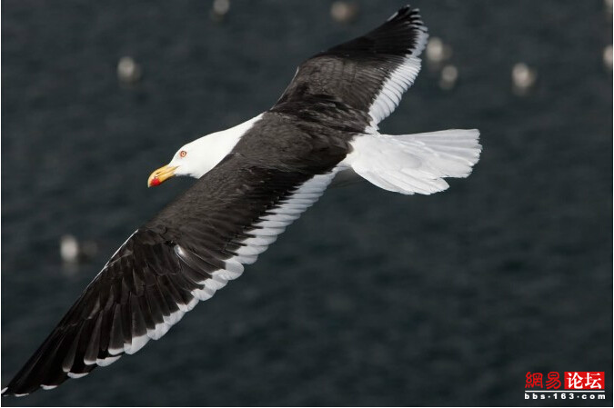 ??? ????? ????? ???????: ???? ??????