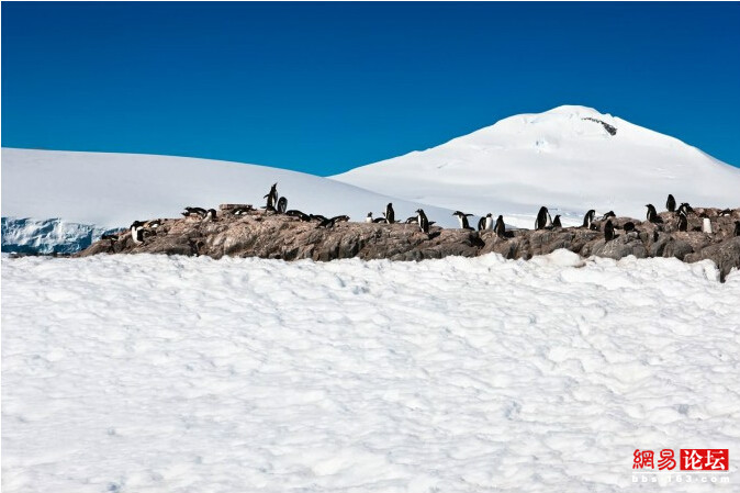 ??? ????? ????? ???????: ???? ??????