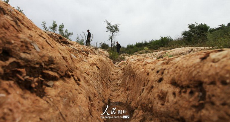 ???? ?? 22 ????? ????? ??? ????? ?????? ?? ???? ?????? 