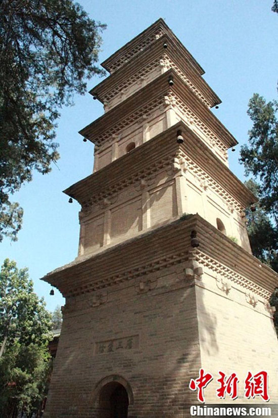 ???? ?? 22 ????? ????? ??? ????? ?????? ?? ???? ?????? 