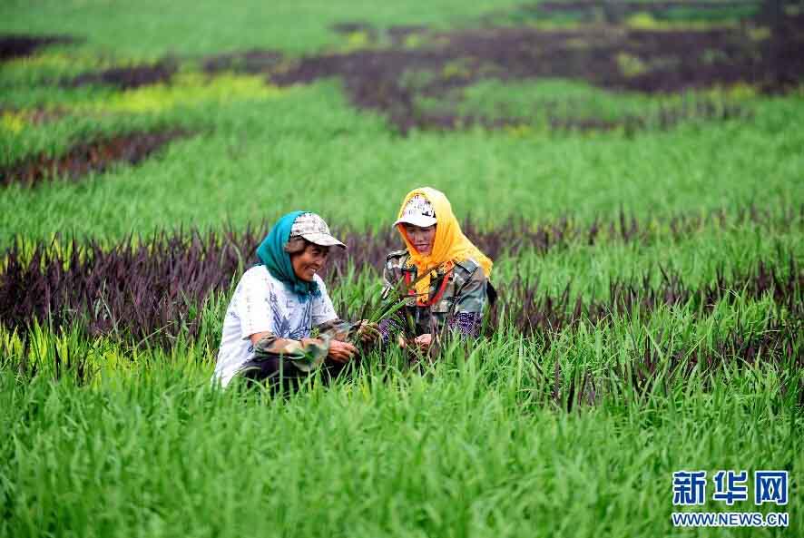 ????"????? ?????? ??????? ??? ???? ?????" ?? ????? ??????  ??????? 