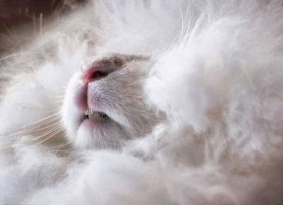 ?????? ?????? ???? ?? ??????...??? ??? ?????   