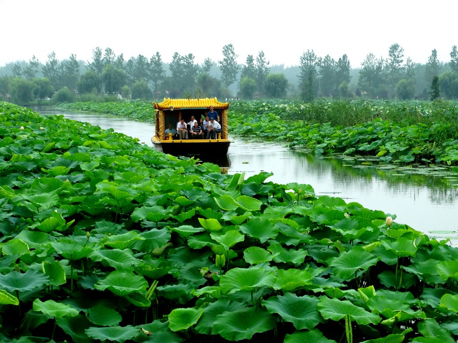 ???? ???? ???? ?? ?????? ????? ???? ????? 