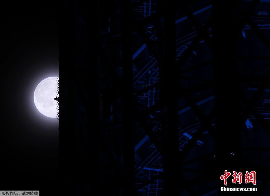 ??? ????? ???? ?? ????? ??? ?? ???????