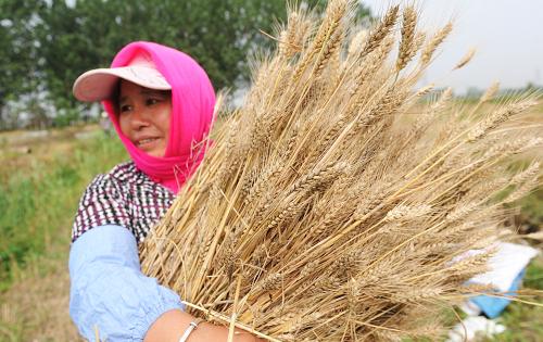 ?????? ??? ????? ?????? ?????? ??????? ?? ?????