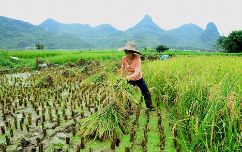 ?????? ??? ????? ?????? ?????? ??????? ?? ?????