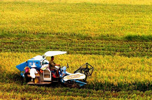 ?????? ??? ????? ?????? ?????? ??????? ?? ?????