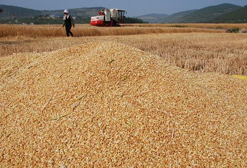 ?????? ??? ????? ?????? ?????? ??????? ?? ?????