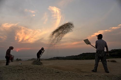 ?????? ??? ????? ?????? ?????? ??????? ?? ?????