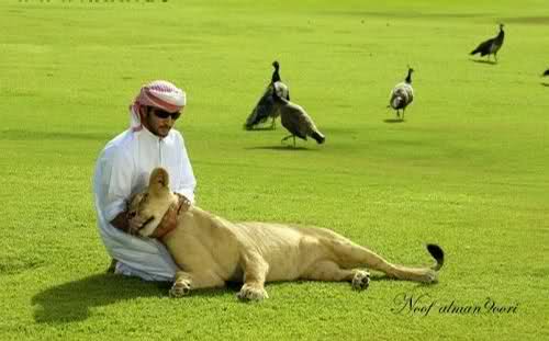 ??? ????? ?????? ?????? ??????? ?? ????? ??? 