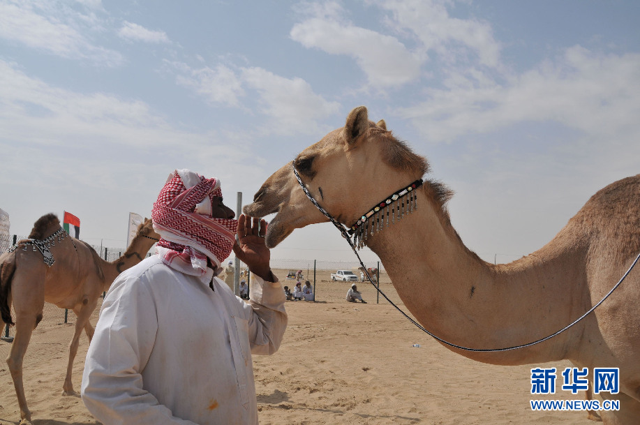 "??? ?????? ????????" ????? ?? ??? ???