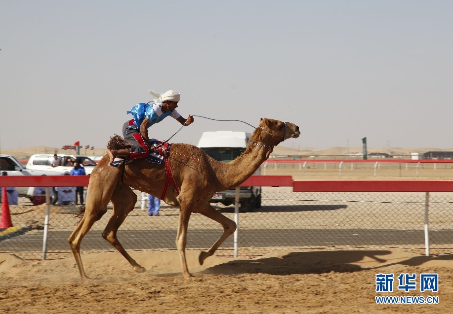 "??? ?????? ????????" ????? ?? ??? ???