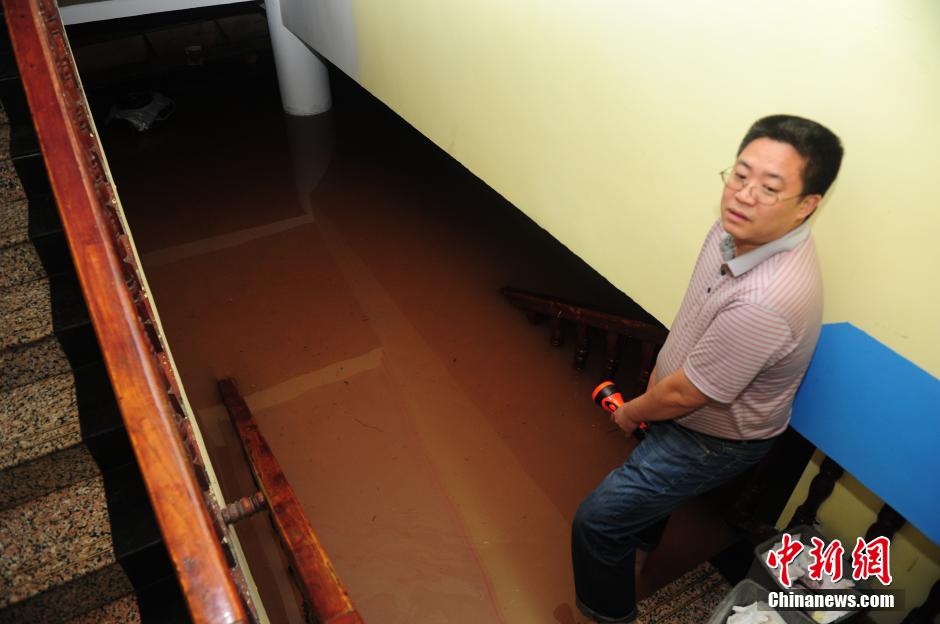 ???? ???? ????? ?????? ????? ??????????