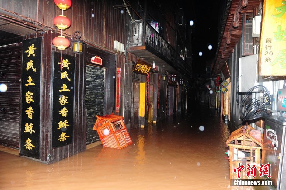 ???? ???? ????? ?????? ????? ??????????