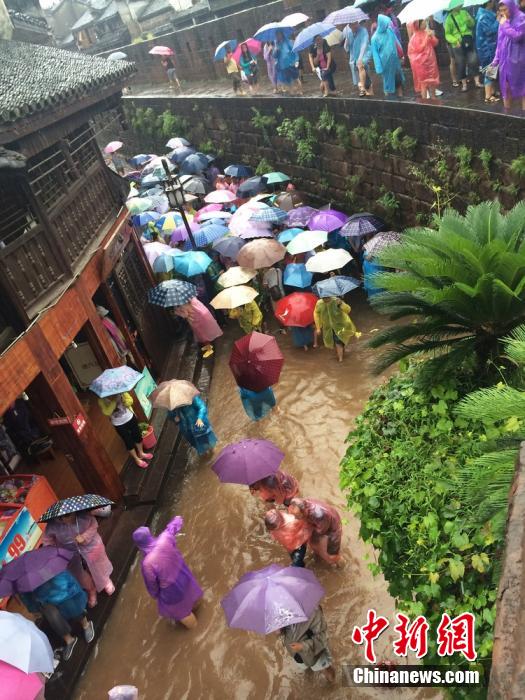 ???? ???? ????? ?????? ????? ??????????