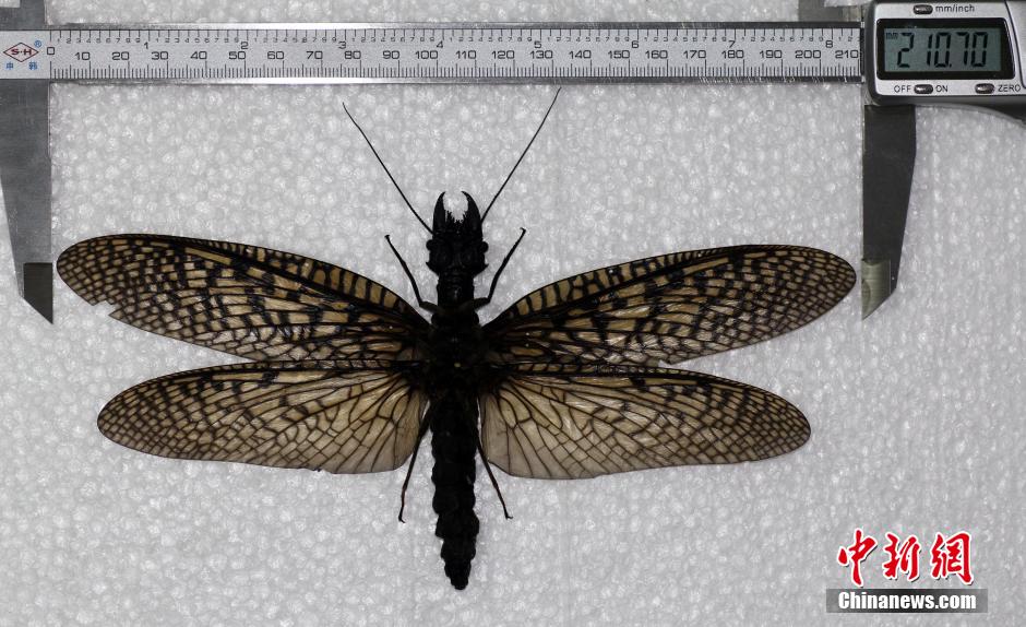 ??????? ???? ??????? ??????? ?? ?????? ??????? ??????? ???????