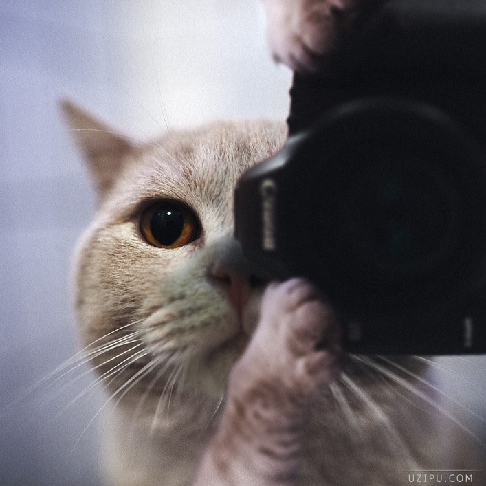 ?????? ?????? ??????? ?????? ????????