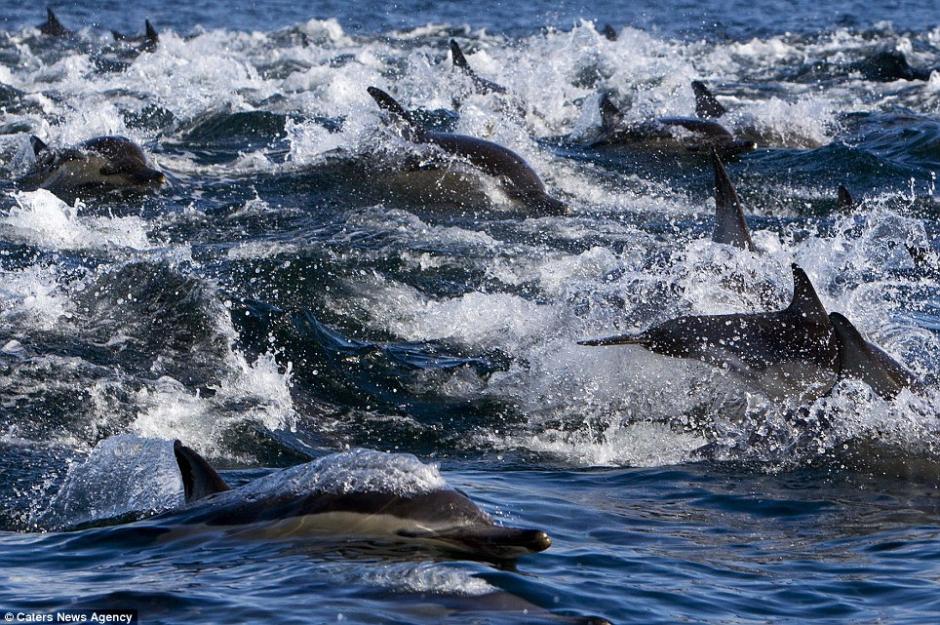 ???? ????...???? ???? ???? ???????? 