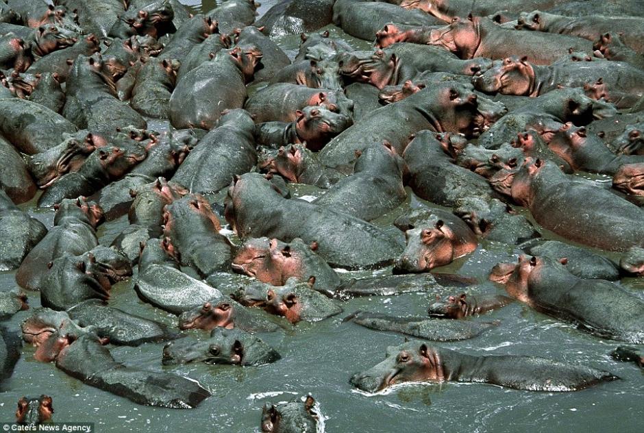 ???? ????...???? ???? ???? ???????? 