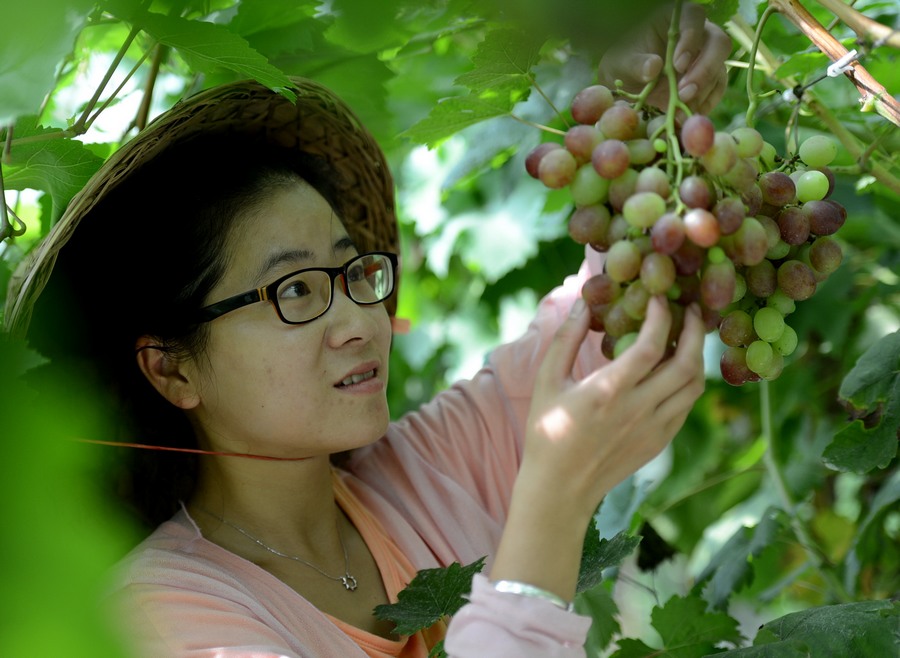 ??? ???? ?????? ?????? 