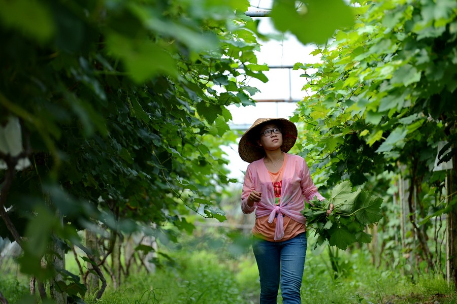 ??? ???? ?????? ?????? 