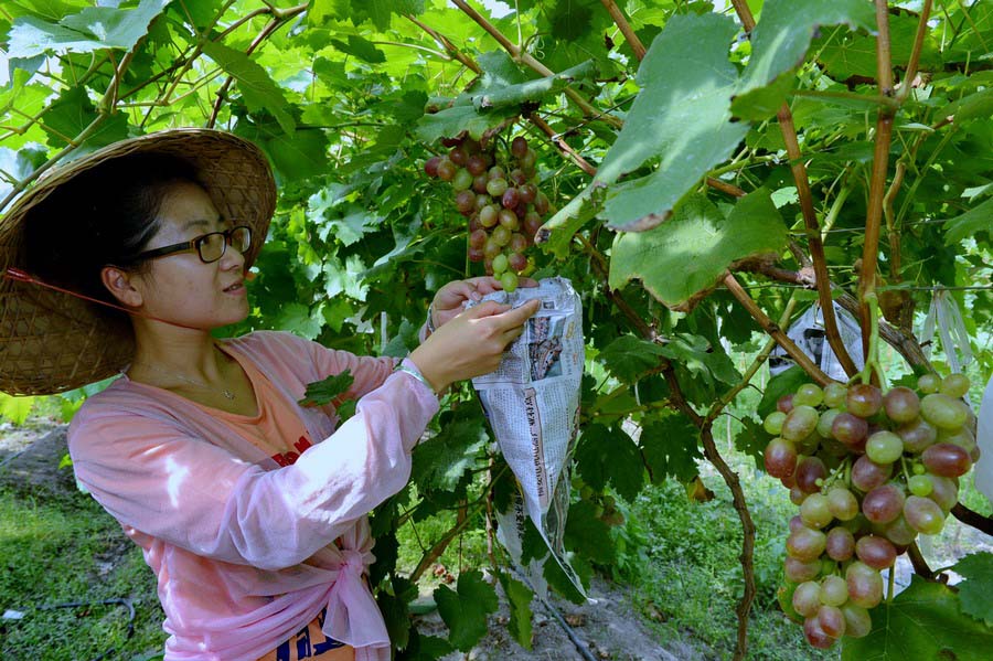 ??? ???? ?????? ?????? 