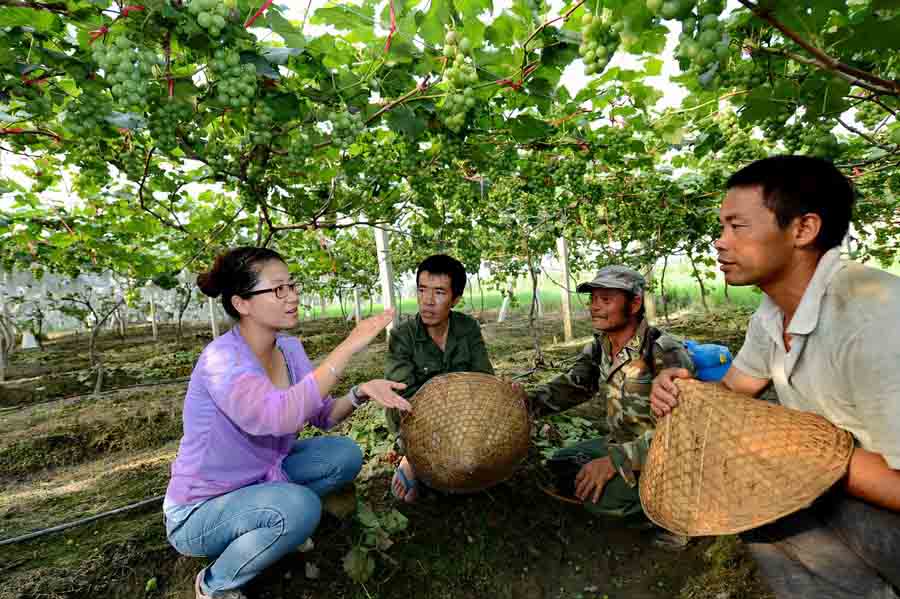 ??? ???? ?????? ?????? 