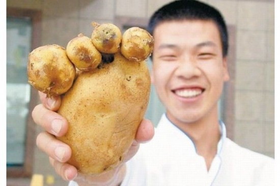 ??? ?????:?????? ?????? ????? ??? ????? ?????    