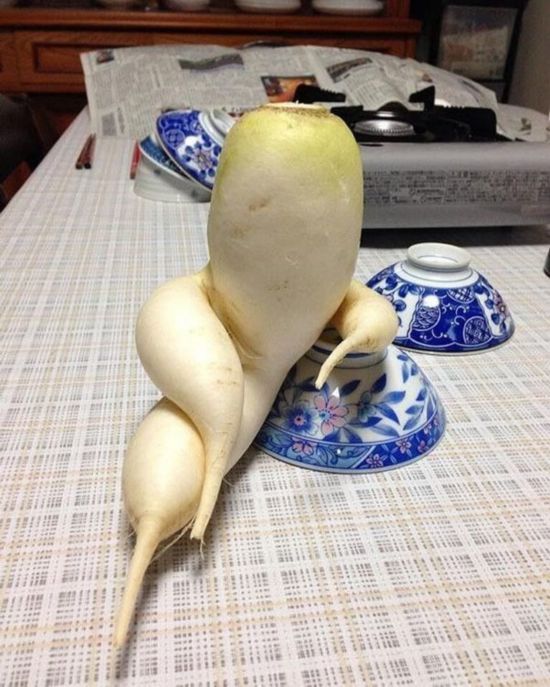 ??? ?????:?????? ?????? ????? ??? ????? ?????    