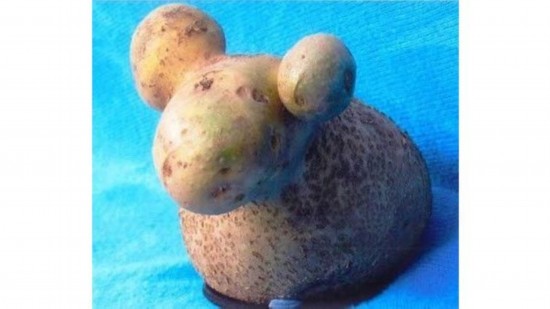 ??? ?????:?????? ?????? ????? ??? ????? ?????    