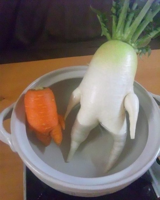 ??? ?????:?????? ?????? ????? ??? ????? ?????    