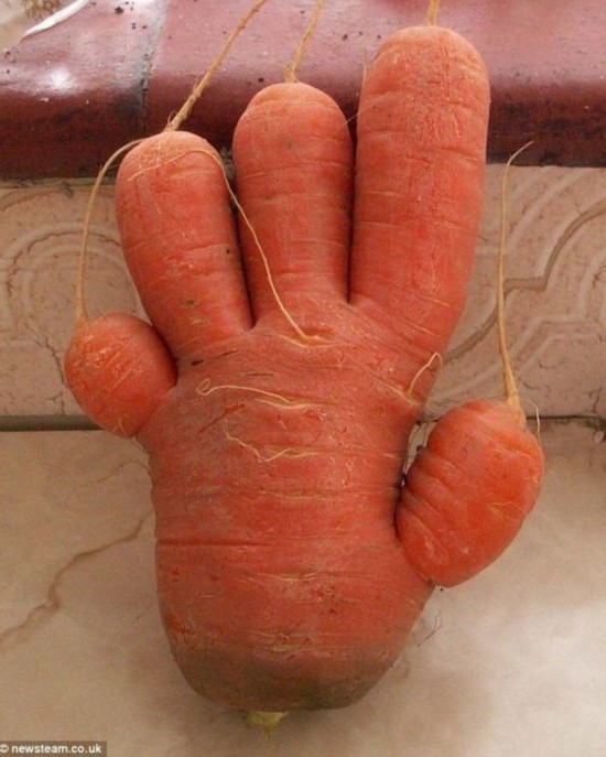 ??? ?????:?????? ?????? ????? ??? ????? ?????    