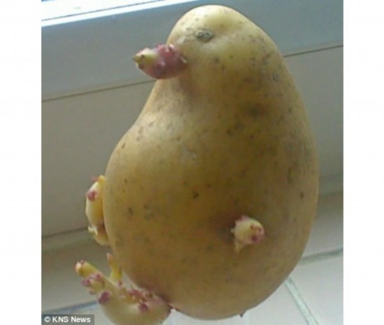 ??? ?????:?????? ?????? ????? ??? ????? ?????    