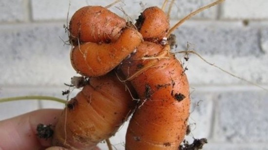 ??? ?????:?????? ?????? ????? ??? ????? ?????    