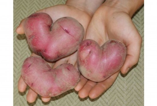 ??? ?????:?????? ?????? ????? ??? ????? ?????    