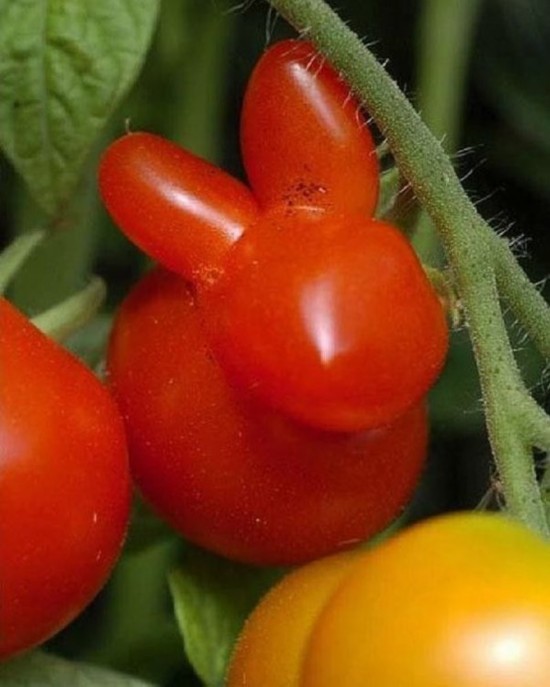 ??? ?????:?????? ?????? ????? ??? ????? ?????    