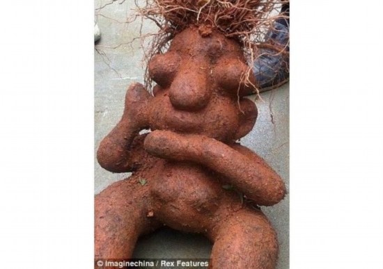 ??? ?????:?????? ?????? ????? ??? ????? ?????    