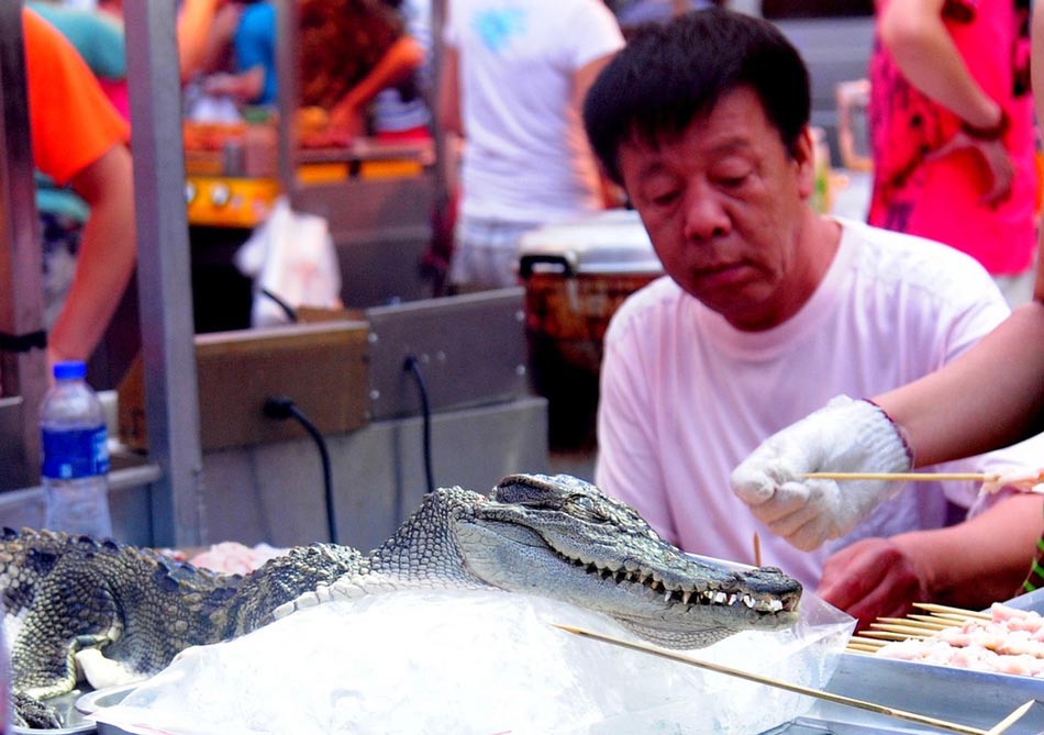 ??? ??? ???????? ?? ????? ?????? ??????? ???? ???? 