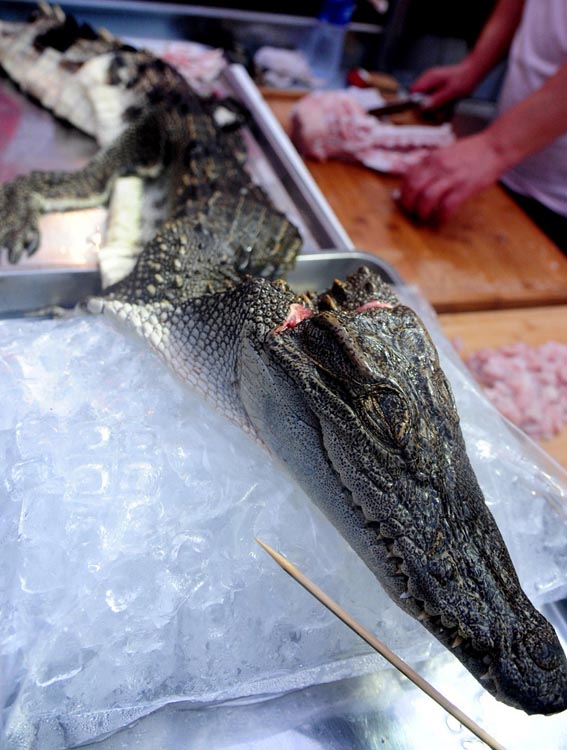 ??? ??? ???????? ?? ????? ?????? ??????? ???? ???? 