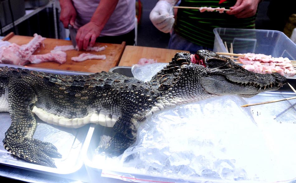 ??? ??? ???????? ?? ????? ?????? ??????? ???? ???? 