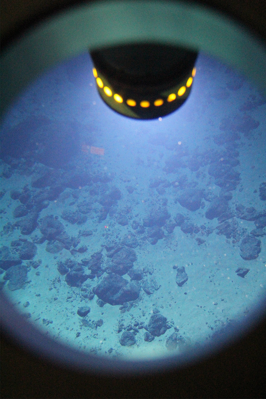  ??????? "????????" ???? ???? ?? ?????? ???????   