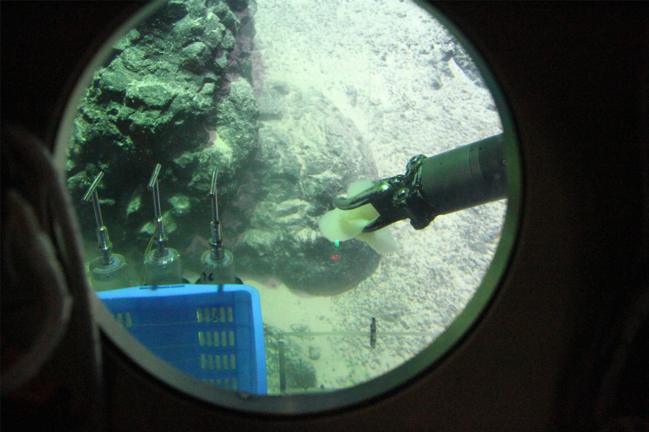  ??????? "????????" ???? ???? ?? ?????? ???????   