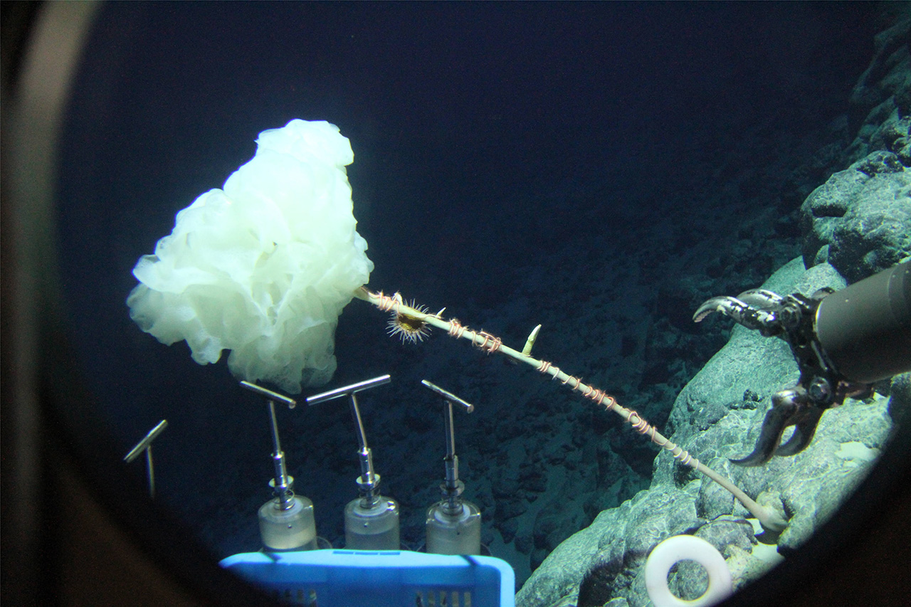  ??????? "????????" ???? ???? ?? ?????? ???????   