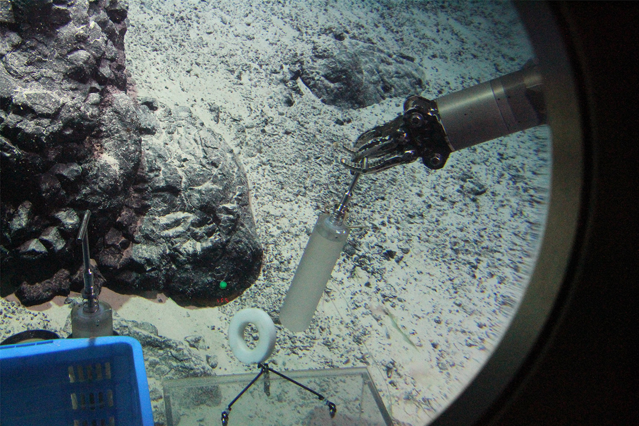  ??????? "????????" ???? ???? ?? ?????? ???????   