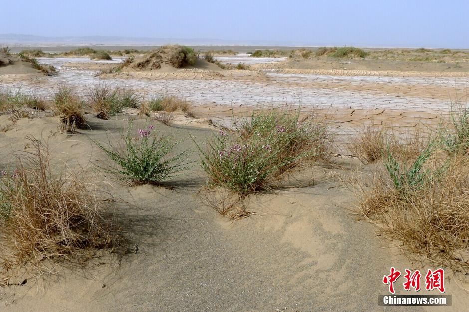 ?? ?? ??????? ???????? ???? ??? ?? ??? ?????? ???? ?? ???? ???? ?????? ?? ??????? ??????? ???.