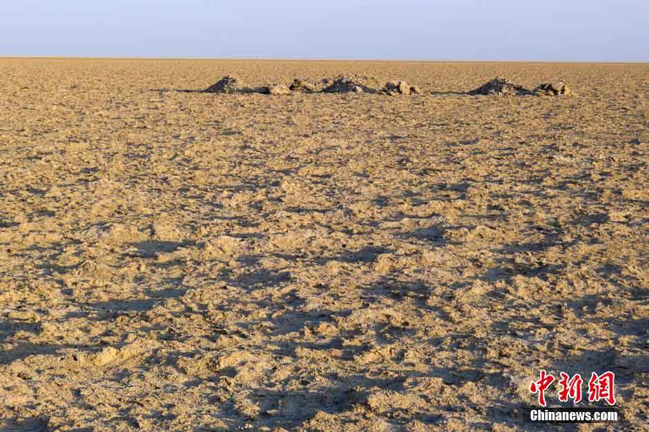 ???????? ????????? ???? ???? ????? ????? ?? ???? ?????.