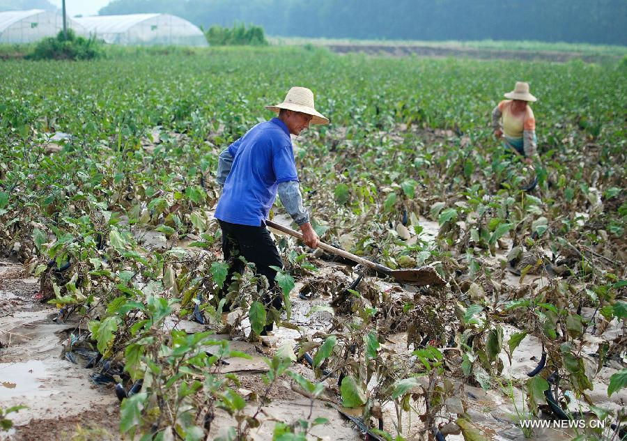 ????? ????? ???? ????? 13 ???? ?? ?????