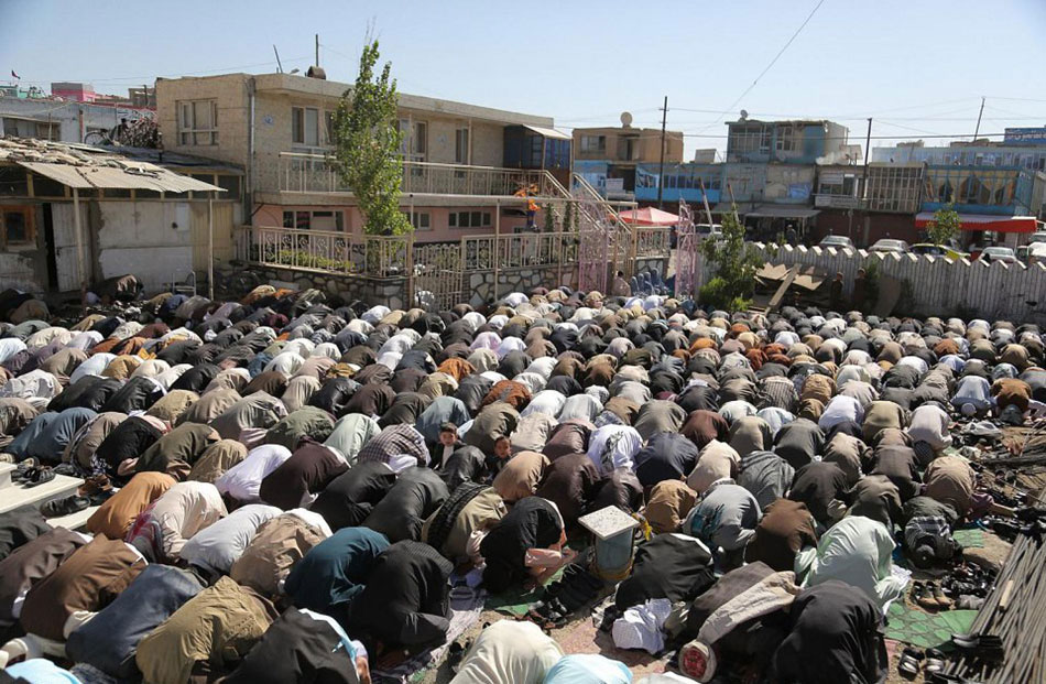 ????? ????? ?????? ?? ???? ?????    